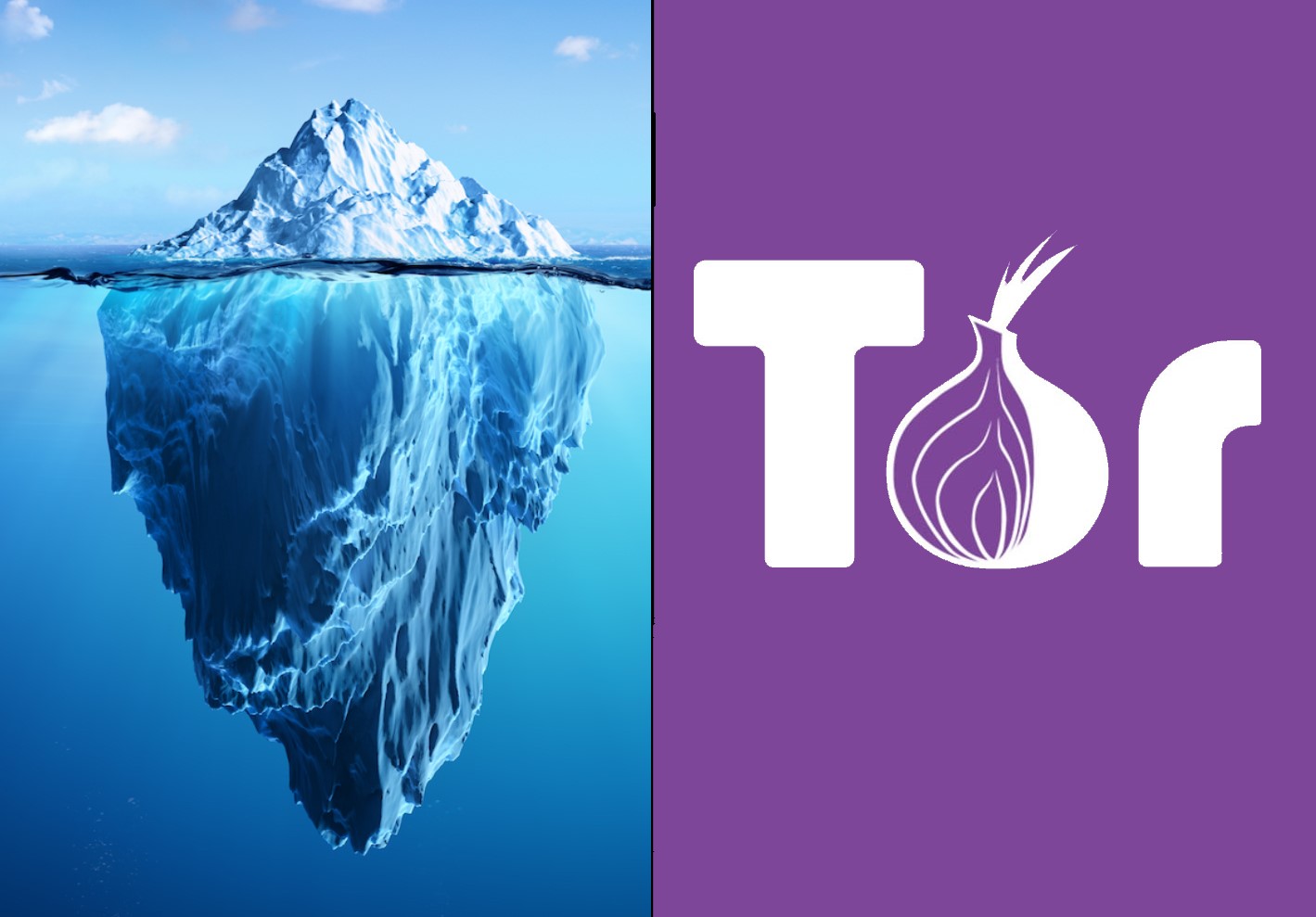 Tor darknet markets