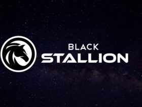 Black Stallion (BS Coin) NEDİR