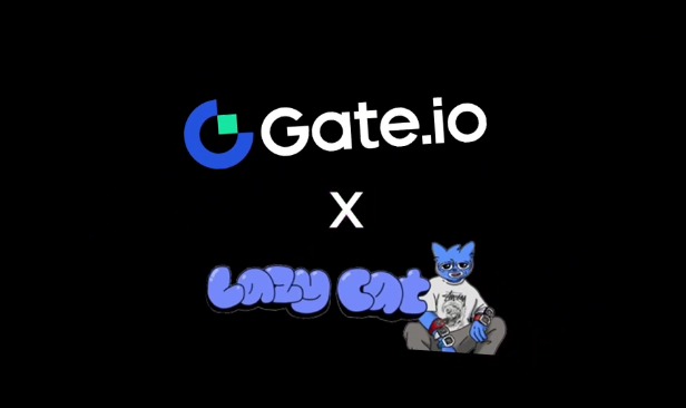 lazycat gateio gate.io token coin how to buy satın al